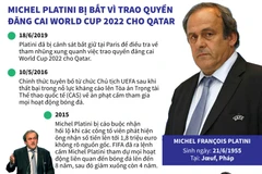 Quá trình dẫn đến vụ bắt giữ cựu Chủ tịch UEFA Michel Platini