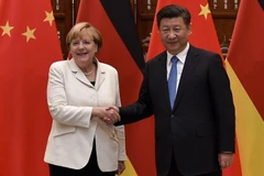 Thủ tướng Đức Angela Merkel và Chủ tịch Trung Quốc Tập Cận Bình. (Ảnh: DPA)