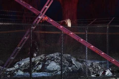 Hiện trường vụ máy bay rơi tại Hawaii. (Ảnh: AP)