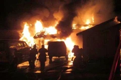 Ảnh minh họa. (Nguồn: Pulse)