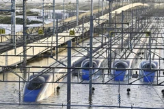 Các đoàn tàu Shinkansen ngập sâu trong nước tại Nagano. (Ảnh: Kyodo)