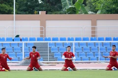 Tinh thần các cầu thủ Việt Nam đều rất tốt sau trận thắng Brunei. (Ảnh: Hoàng Linh/TTXVN)