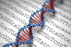 Dịch vụ xét nghiệm “dòng máu hoàng gia” hút khách tại Trung Quốc