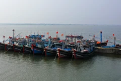 Tàu thuyền neo đậu tránh bão số 6 tại Thừa Thiên-Huế. (Ảnh: Hồ Cầu/TTXVN)