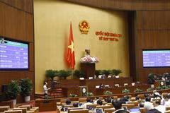 Quốc hội biểu quyết thông qua Nghị quyết về chủ trương đầu tư Dự án đầu tư xây dựng đường Vành đai 4 - vùng thủ đô Hà Nội. (Ảnh: Doãn Tấn/TTXVN)