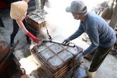 [Photo] Quảng Trị: Làng nghề hấp cá phơi khô hối hả vào vụ mới 