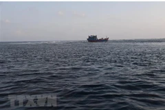 (Ảnh minh họa: TTXVN phát)