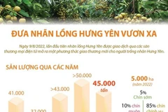 [Infographics] Đưa nhãn lồng Hưng Yên vươn xa
