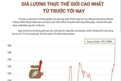[Infographics] Giá lương thực thế giới cao nhất từ trước tới nay