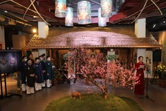 Hà Nội khai mạc chuỗi hoạt động VHNT gắn với các phong tục cổ truyền 