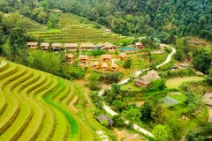 Khu homestay Hoàng Su Phì bungalow, nơi xảy ra sự việc. (Nguồn: thanhnien.vn)