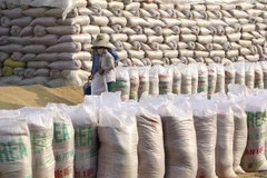 Angimex ký hợp đồng xuất khẩu gạo trị giá tỷ đô với nước Cộng hòa Sierra Leone. (Nguồn: tienphong)