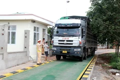 Lực lượng Cảnh sát giao thông, Công an tỉnh Gia Lai ra quân quyết liệt xử lý các trường hợp chở quá khổ, quá tải. (Ảnh: Quang Thái/TTXVN)