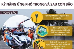 [Infographics] Kỹ năng ứng phó trong và sau cơn bão