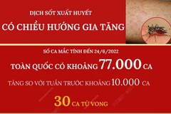 [Infographics] Dịch sốt xuất huyết có chiều hướng gia tăng