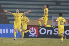 Câu lạc bộ Nam Định phấn đấu sớm trụ hạng trước khi đặt mục tiêu cao hơn tại V-League 2022. (Nguồn: VPF)