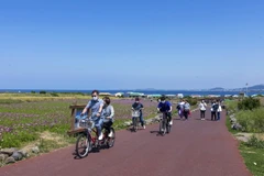 Ghé thăm hòn đảo độc đáo "không khí thải carbon” Gapado ở Jeju