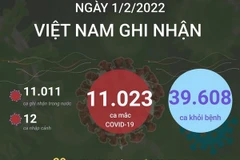 [Infographics] Ngày 1/2, có 11.023 ca mắc mới, 39.608 ca khỏi bệnh