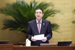 Phó Chủ tịch Quốc hội Nguyễn Đức Hải phát biểu. (Ảnh: Doãn Tấn/TTXVN)