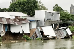 Một vụ sạt lở đất bờ sông. (Nguồn: baoangiang.vn)