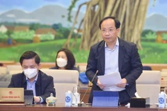 Thứ trưởng Bộ Giao thông Vận tải Nguyễn Duy Lâm trình bày báo cáo. (Ảnh: Doãn Tấn/TTXVN)