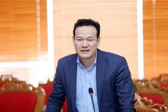 Phó Chủ nhiệm Ủy ban Nhà nước về người Việt Nam ở nước ngoài Mai Phan Dũng. (Ảnh: Anh Tuấn/TTXVN)