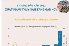 [Infographics] Sáu tháng đầu năm 2022, xuất khẩu thủy sản tăng gần 40%
