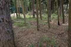 Người dân dựng hàng rào trên đất rừng. (Ảnh:TTXVN)