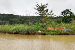 Khu vực ao ông Phạm Quỳnh Anh thả lưới bắt cá. (Nguồn: baobinhphuoc.com.vn)