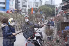 Người dân mua đào Tết tại chợ hoa Quảng Bá, quận Tây Hồ, Hà Nội. (Ảnh: Minh Quyết/TTXVN)