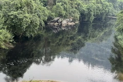 Nước thải đổ ra sông Quyền khiến nước sông chuyển sang màu đen. (Nguồn: laodong.vn)