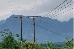 Ảnh minh họa. (Nguồn: baolaocai.vn)