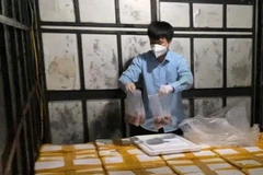 85 thùng cá khoai ướp phoócmôn đang được đưa đi tiêu thụ thì bị bắt giữ. (Nguồn: Công an Thanh Hóa)
