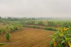 Quy hoạch phân khu đô thị sông Hồng. (Ảnh: Hùng Nguyễn/Vietnam+)