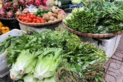 Mặt hàng rau xanh đang tăng 'nóng' tại các chợ trên địa bàn thành phố Hà Nội. (Ảnh: PV/Vietnam+)