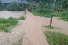 Nhiều tuyến đường bê tông nội đồng ở một số xã trên địa bàn huyện Văn Yên bị ngập. (Ảnh: TTXVN phát)