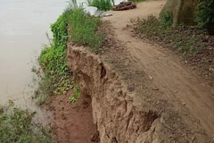 Hiện trường vụ sạt lở bờ Tây sông Hậu. (Ảnh: TTXVN phát)