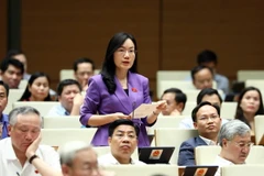 Đại biểu Quốc hội tỉnh Bắc Giang Đỗ Thị Việt Hà đặt câu hỏi chất vấn. (Ảnh: Phạm Kiên/TTXVN)