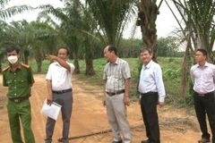 Đoàn kiểm tra tỉnh Bình Dương đang kiểm tra thực địa. (Ảnh: Huyền Trang/TTXVN)