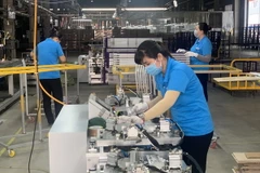 Công nhân làm việc tại Công ty TNHH Pavonine Vina, doanh nghiệp Hàn Quốc, thị xã Phú Mỹ, tỉnh Bà Rịa-Vũng Tàu. (Ảnh: Hoàng Nhị/TTXVN)