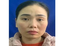 Khởi tố nguyên cán bộ Thanh tra tỉnh Vĩnh Phúc về tội lừa đảo