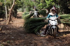 Sớm nâng cấp đường giao thông vùng tái định cư Thủy điện Sơn La 