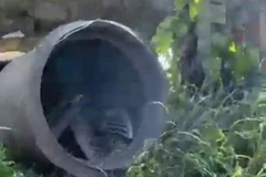 Nam Định: Nổ lò hơi ở cơ sở làm rau câu, một phụ nữ tử vong tại chỗ