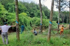 Khu vực xảy ra vụ đuối nước thương tâm. (Ảnh: TTXVN phát)