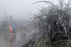 Khu du lịch Mẫu Sơn đã xuất hiện băng giá thu hút nhiều du khách. (Ảnh: Anh Tuấn/TTXVN phát)