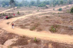 (Ảnh minh họa: Hoàng Hùng/TTXVN)