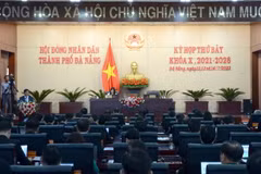 Quang cảnh Kỳ họp. (Ảnh: Quốc Dũng/TTXVN)