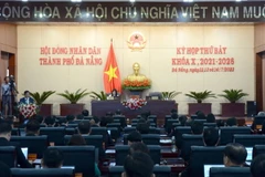 Quang cảnh Kỳ họp. (Ảnh: Quốc Dũng/TTXVN)