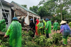 Lực lượng thanh niên tình nguyện Thủ đô nhiệt tình các hoạt động khắc phục hậu quả sau bão. (Ảnh: PV/Vietnam+)