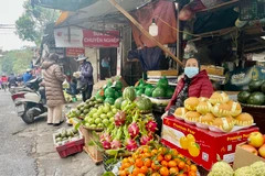 Hàng hóa, thực phẩm dồi dào trong sau kỳ nghỉ Tết Nguyên đán. (Ảnh: Minh Hiếu/Vietnam+)
